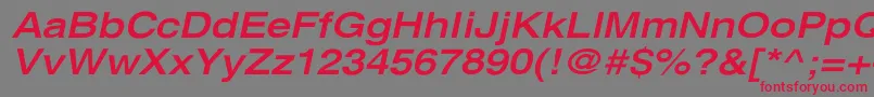 フォントXeroxSansSerifWideBoldOblique – 赤い文字の灰色の背景