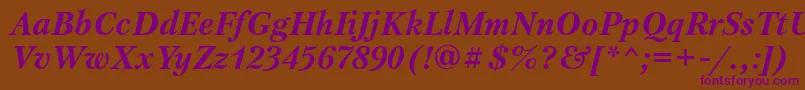 PetersburgosttBolditalic Font – Purple Fonts on Brown Background