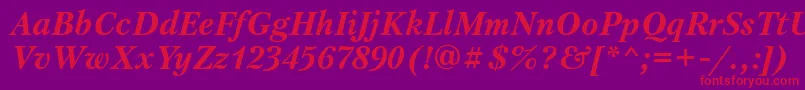 PetersburgosttBolditalic Font – Red Fonts on Purple Background