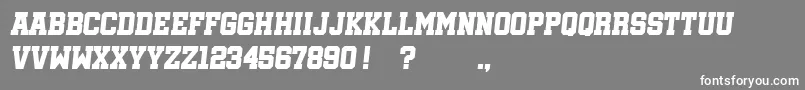 SoccerleagueItalic Font – White Fonts on Gray Background