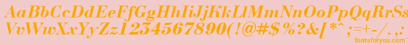 BodoninovaBolditalic-Schriftart – Orangefarbene Schriften auf rosa Hintergrund