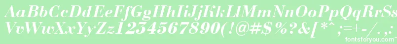 BodoninovaBolditalic Font – White Fonts on Green Background