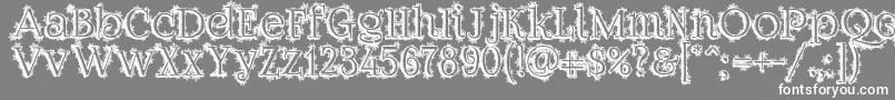 Dickensianchristmas Font – White Fonts on Gray Background