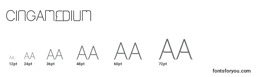 CingaMedium Font Sizes