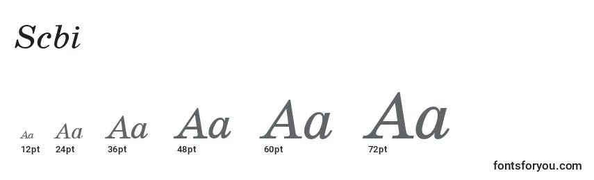 Scbi Font Sizes