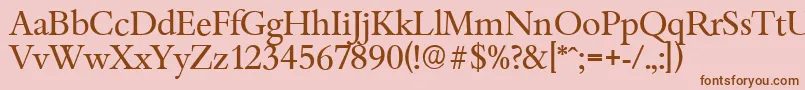 BambergserialRegular Font – Brown Fonts on Pink Background