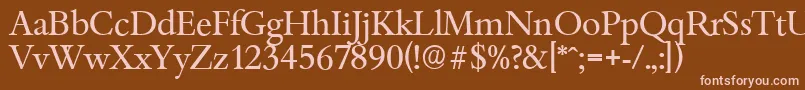 BambergserialRegular Font – Pink Fonts on Brown Background