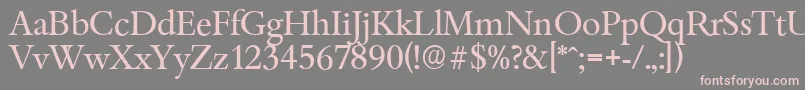BambergserialRegular Font – Pink Fonts on Gray Background