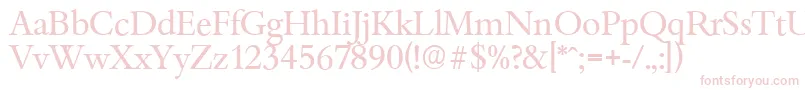 BambergserialRegular Font – Pink Fonts on White Background