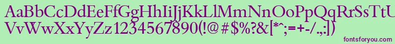 BambergserialRegular-fontti – violetit fontit vihreällä taustalla