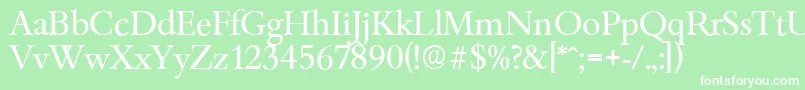 BambergserialRegular Font – White Fonts on Green Background