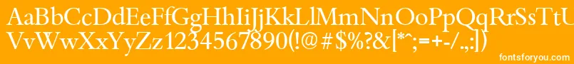 BambergserialRegular Font – White Fonts on Orange Background