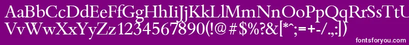 BambergserialRegular Font – White Fonts on Purple Background