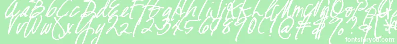 DjbFreshStartBold Font – White Fonts on Green Background