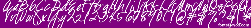 DjbFreshStartBold Font – White Fonts on Purple Background