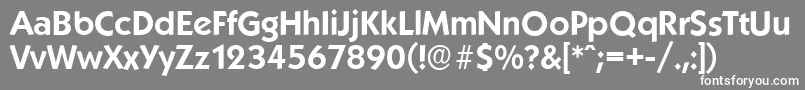 KoblenzserialBold Font – White Fonts on Gray Background