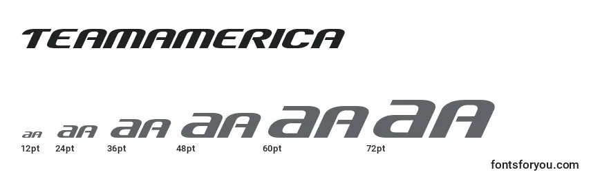 Размеры шрифта Teamamerica
