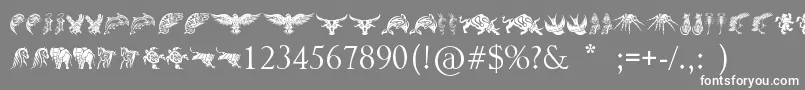 TribalAnimalsTattooDesigns Font – White Fonts on Gray Background