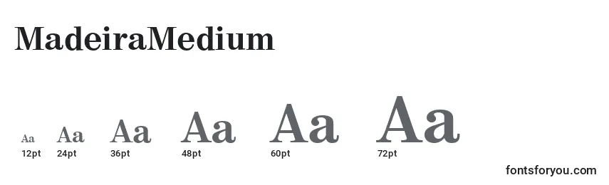 MadeiraMedium Font Sizes
