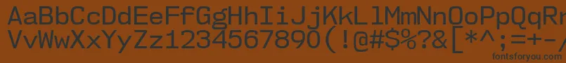 More about Nk57MonospaceNoRg Font Nk57MonospaceNoRg Font – Black Fonts on Brown Background