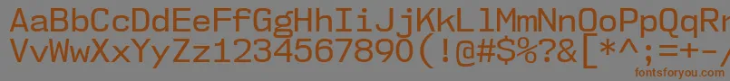 More about Nk57MonospaceNoRg Font Nk57MonospaceNoRg Font – Brown Fonts on Gray Background