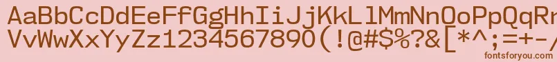 Шрифт Nk57MonospaceNoRg – коричневые шрифты на розовом фоне