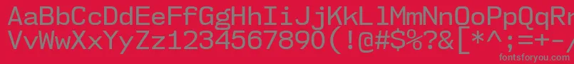 Nk57MonospaceNoRg Font – Gray Fonts on Red Background