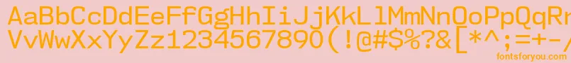 Nk57MonospaceNoRg Font – Orange Fonts on Pink Background