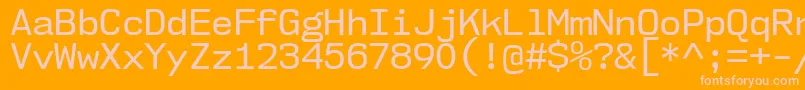 Nk57MonospaceNoRg Font – Pink Fonts on Orange Background