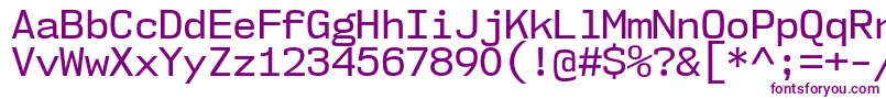 Nk57MonospaceNoRg Font – Purple Fonts on White Background