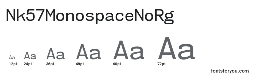 Размеры шрифта Nk57MonospaceNoRg