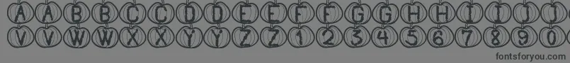 PumpkinHalloweenSt Font – Black Fonts on Gray Background