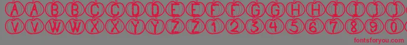 フォントPumpkinHalloweenSt – 赤い文字の灰色の背景