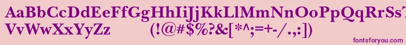 NewbaskervilleexpodcBold Font – Purple Fonts on Pink Background