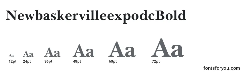 NewbaskervilleexpodcBold Font Sizes