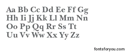 Review of the NewbaskervilleexpodcBold Font