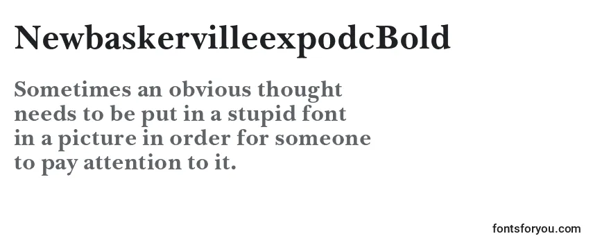 Przegląd czcionki NewbaskervilleexpodcBold