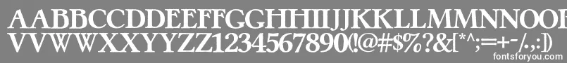 PretzelRegular Font – White Fonts on Gray Background