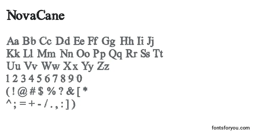 Schriftart NovaCane – Alphabet, Zahlen, spezielle Symbole