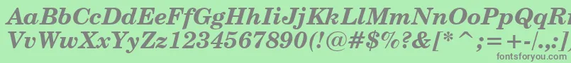 CenturySchoolbookBoldItalicBt Font – Gray Fonts on Green Background