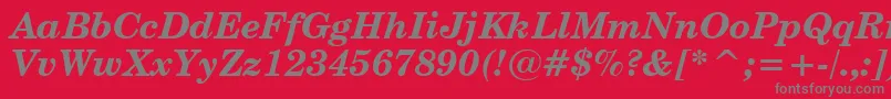 CenturySchoolbookBoldItalicBt Font – Gray Fonts on Red Background
