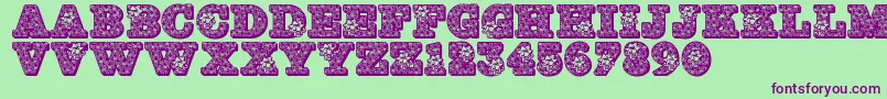 Jfhollybows Font – Purple Fonts on Green Background