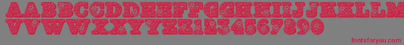 Jfhollybows Font – Red Fonts on Gray Background