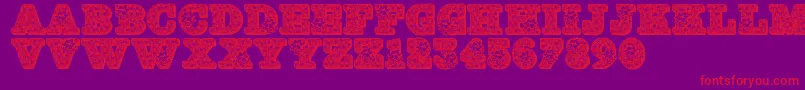 Jfhollybows Font – Red Fonts on Purple Background