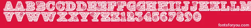 Jfhollybows Font – White Fonts on Red Background