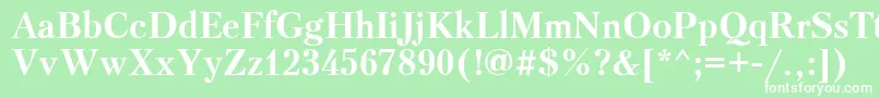 Ptr73C Font – White Fonts on Green Background