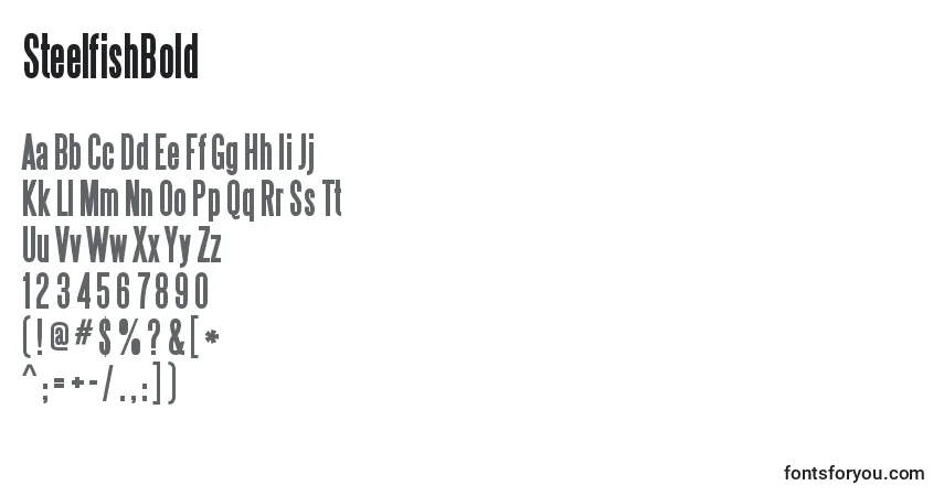 Czcionka SteelfishBold – alfabet, cyfry, specjalne znaki