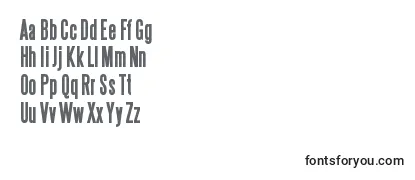 SteelfishBold Font