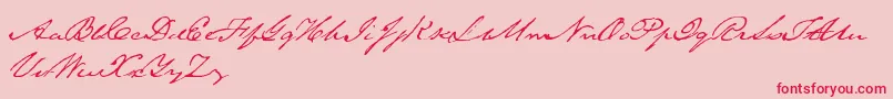 Saeculum-Schriftart – Rote Schriften auf rosa Hintergrund