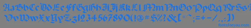 フォントPaladinrus – 灰色の背景に青い文字